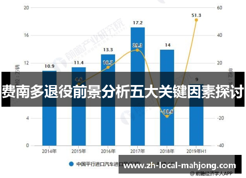 费南多退役前景分析五大关键因素探讨