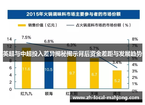 英超与中超投入差异揭秘揭示背后资金差距与发展趋势
